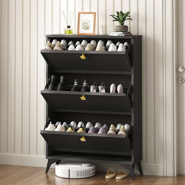 Kalyna Shoe Rack | Black
