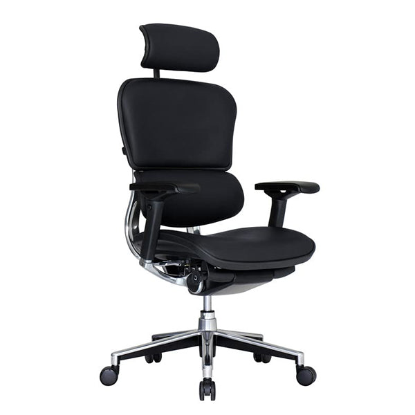 Ergohuman Director High Back Office Chair | Black