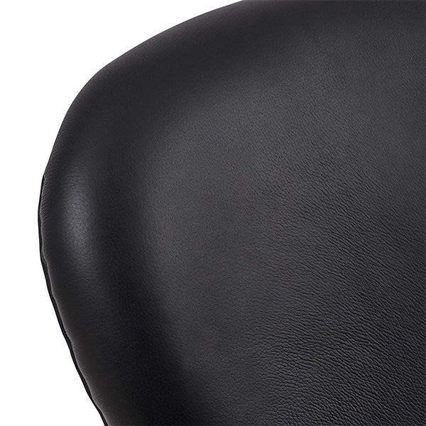 Theodore Egg Chair | Black