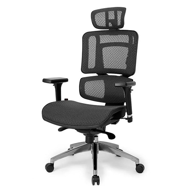 Heloma Director High Back Office Chair |Black