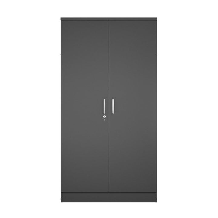 Modern Black 2-door wardrobe design