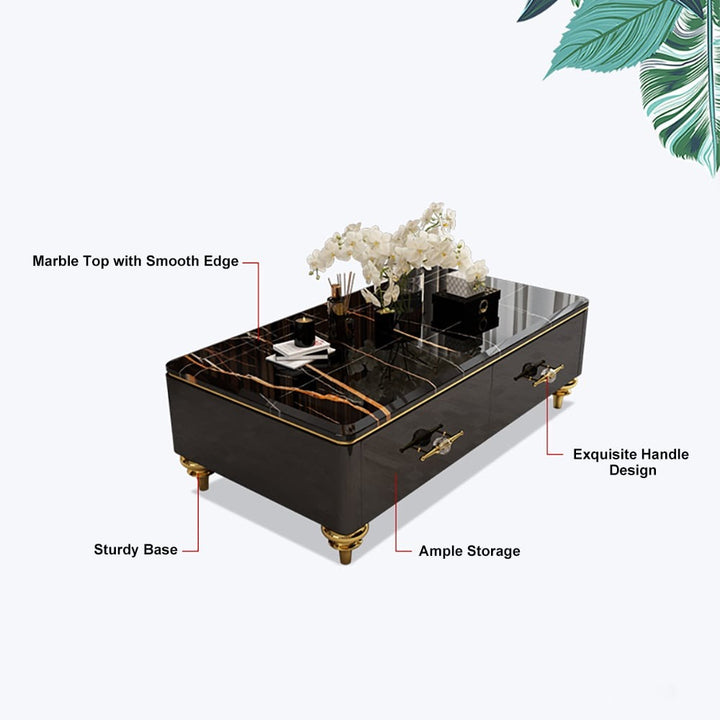 Black modern coffee table with ample storage, sturdy base, exquisite handle design and marble top