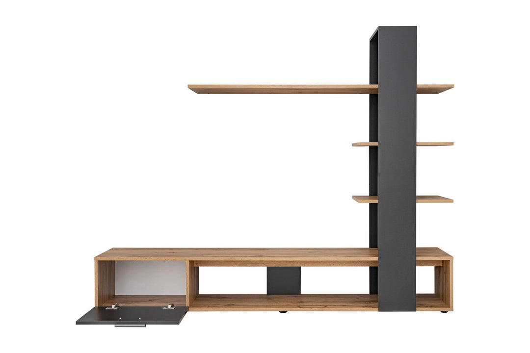 Modern black & beech tv unit set in a white background