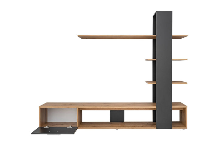 Modern black & beech tv unit set in a white background
